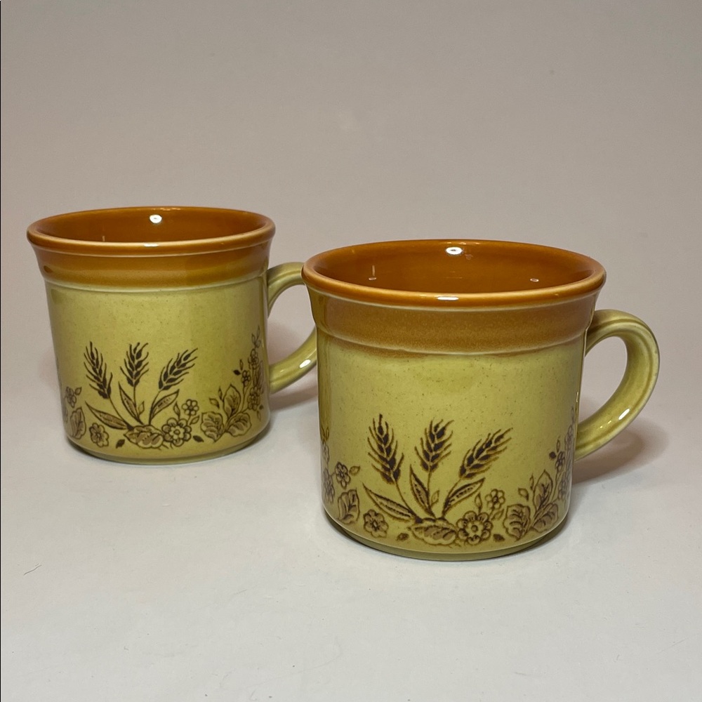BILTONS Vintage Floral Ceramic Moss Green & Brown Mugs Prairie Country Kitchen